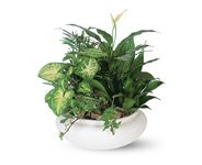 Garden Decor